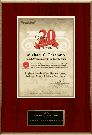 AV 20 Years Award